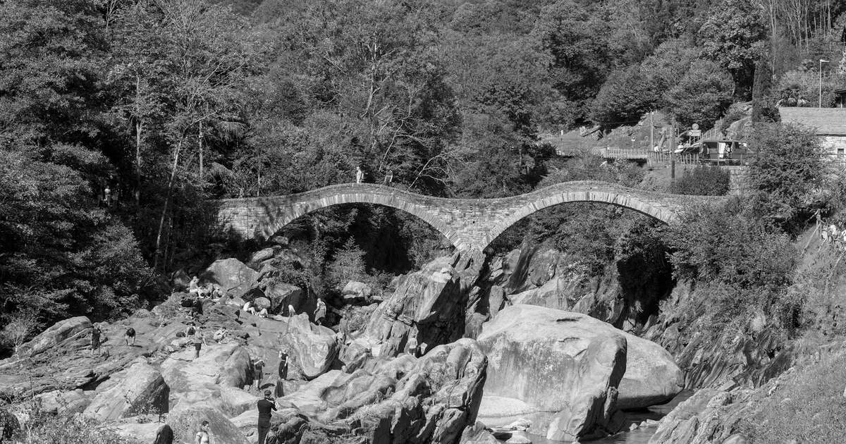 Échinococcose : la maladie qu'on attrape en forêt et comment s'en protéger