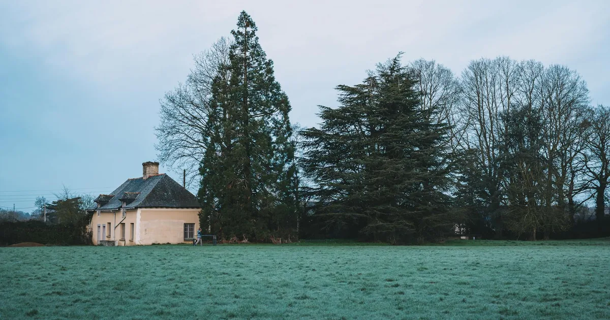 Fruits et légumes de saison : calendrier et bienfaits nutritionnels