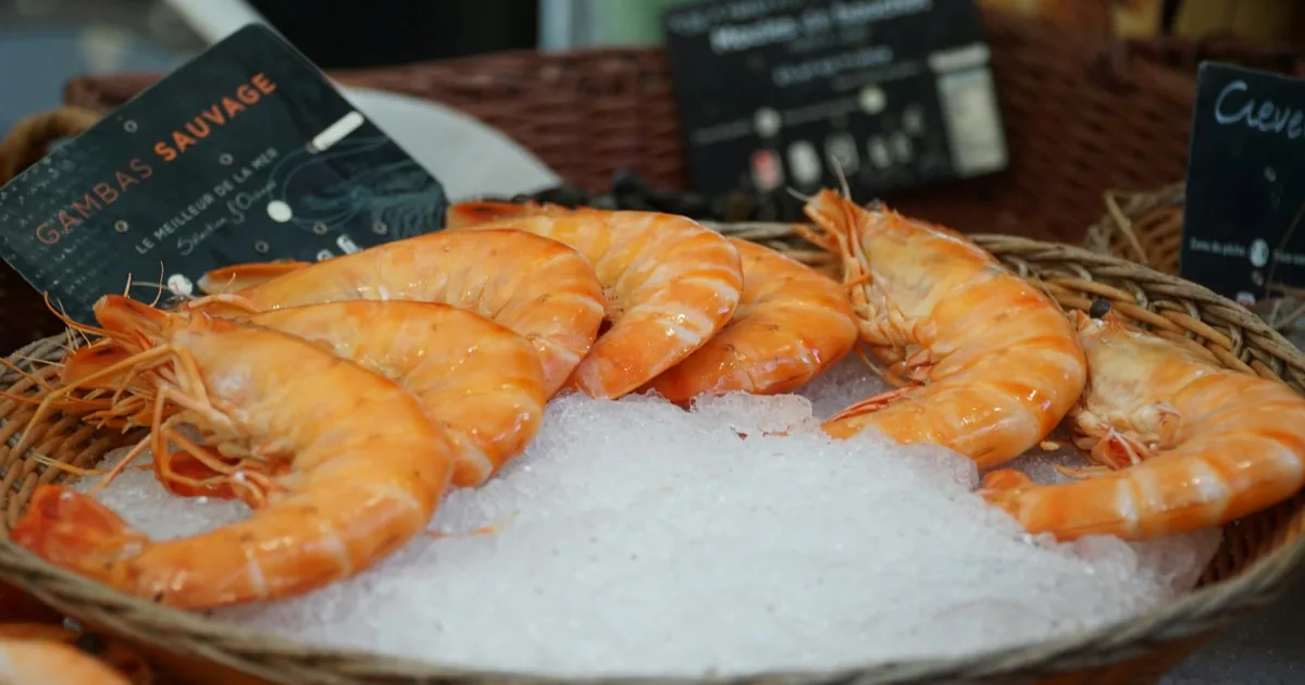 Vélo elliptique : le meilleur allié pour se remettre au sport en douceur